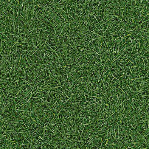 Линолеум бытовой "IVC" Neo Grass 25 (3м) — купить в Санкт-Петербурге