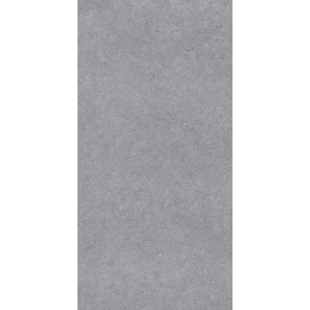 Керамогранит "Sonex" Forever Gris Matt 60x120x0.82 матовый цвет серый камень — купить в Санкт-Петербурге