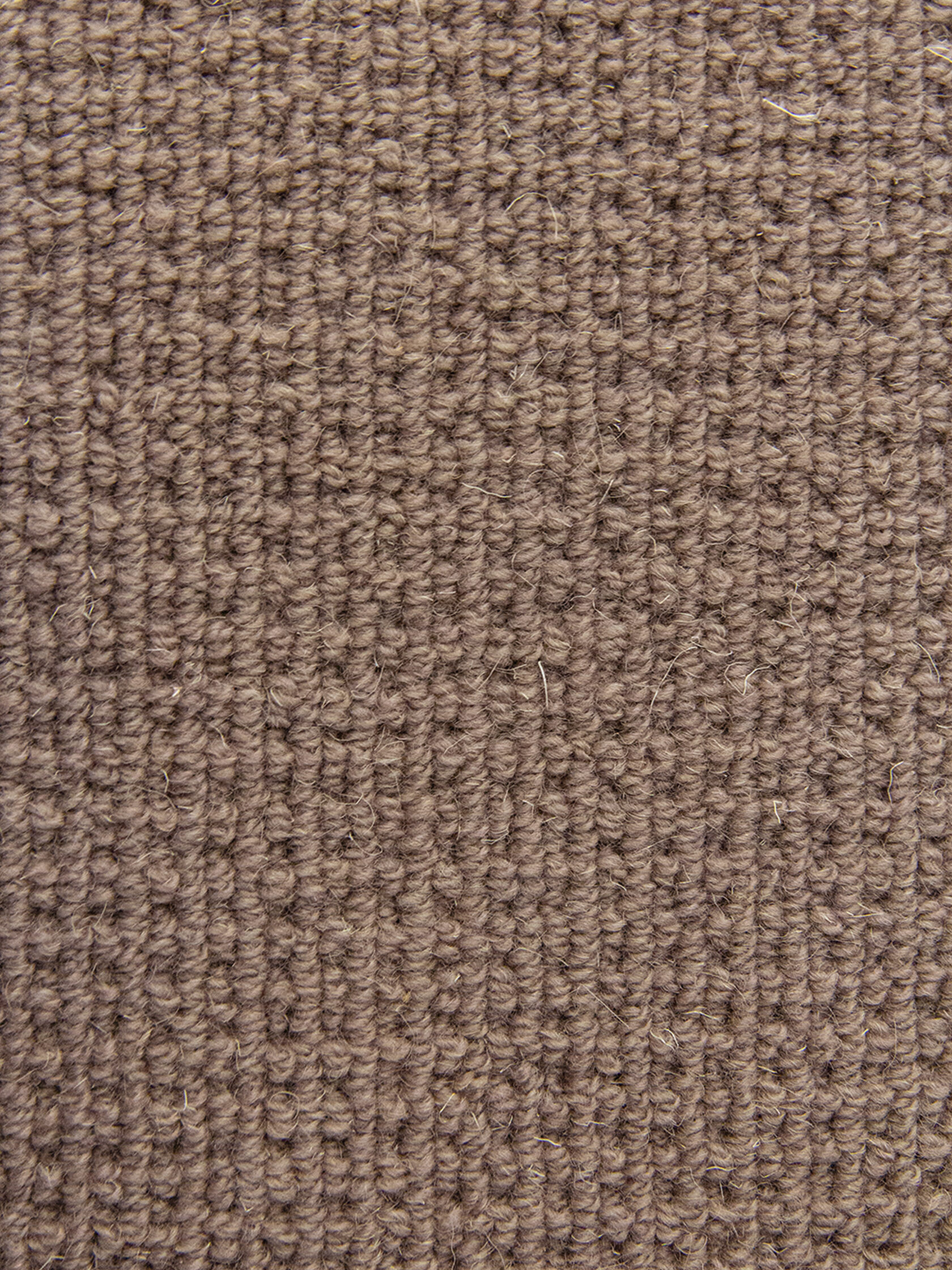 Ковровое покрытие "Bonkeel" Welfare Brown (ширина 4м) — купить в Санкт-Петербурге