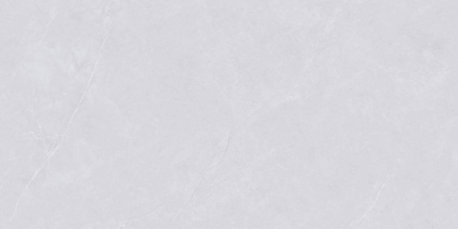 Керамогранит "Wan Sheng" Glazed (1200*600 мм) Серый D12620 — купить в Санкт-Петербурге