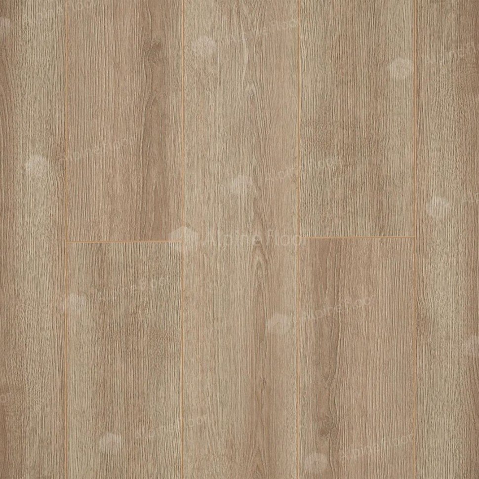 Ламинат "Camsan" Дуб Кашемир (1380*190*10 мм) — купить в Санкт-Петербурге