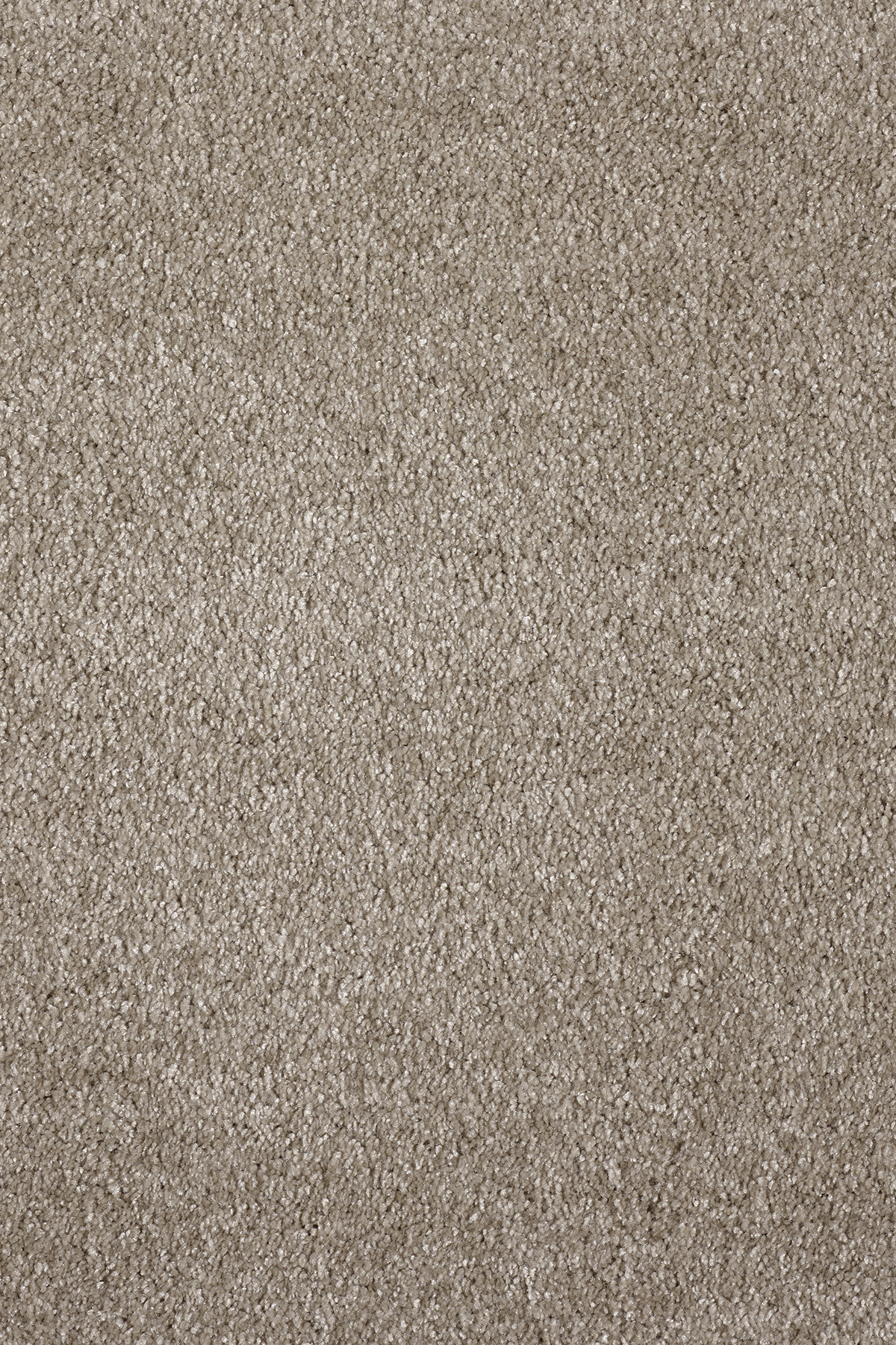 Ковровое покрытие "Bonkeel" Parana 34 (ширина 4м/5м) — купить в Санкт-Петербурге