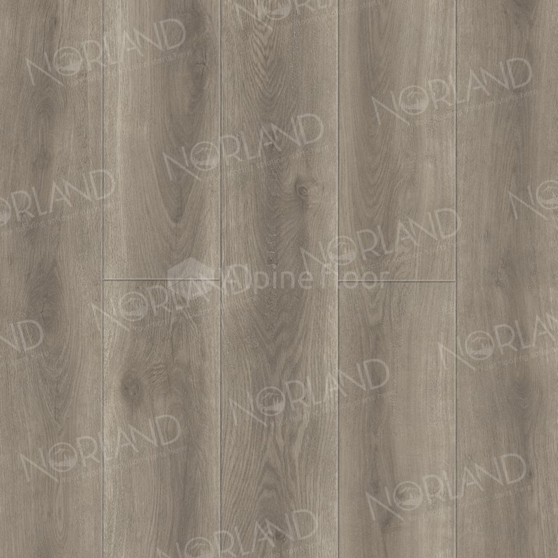 SPC Ламинат "Norland" Templet (1220*196*8 мм) — купить в Санкт-Петербурге