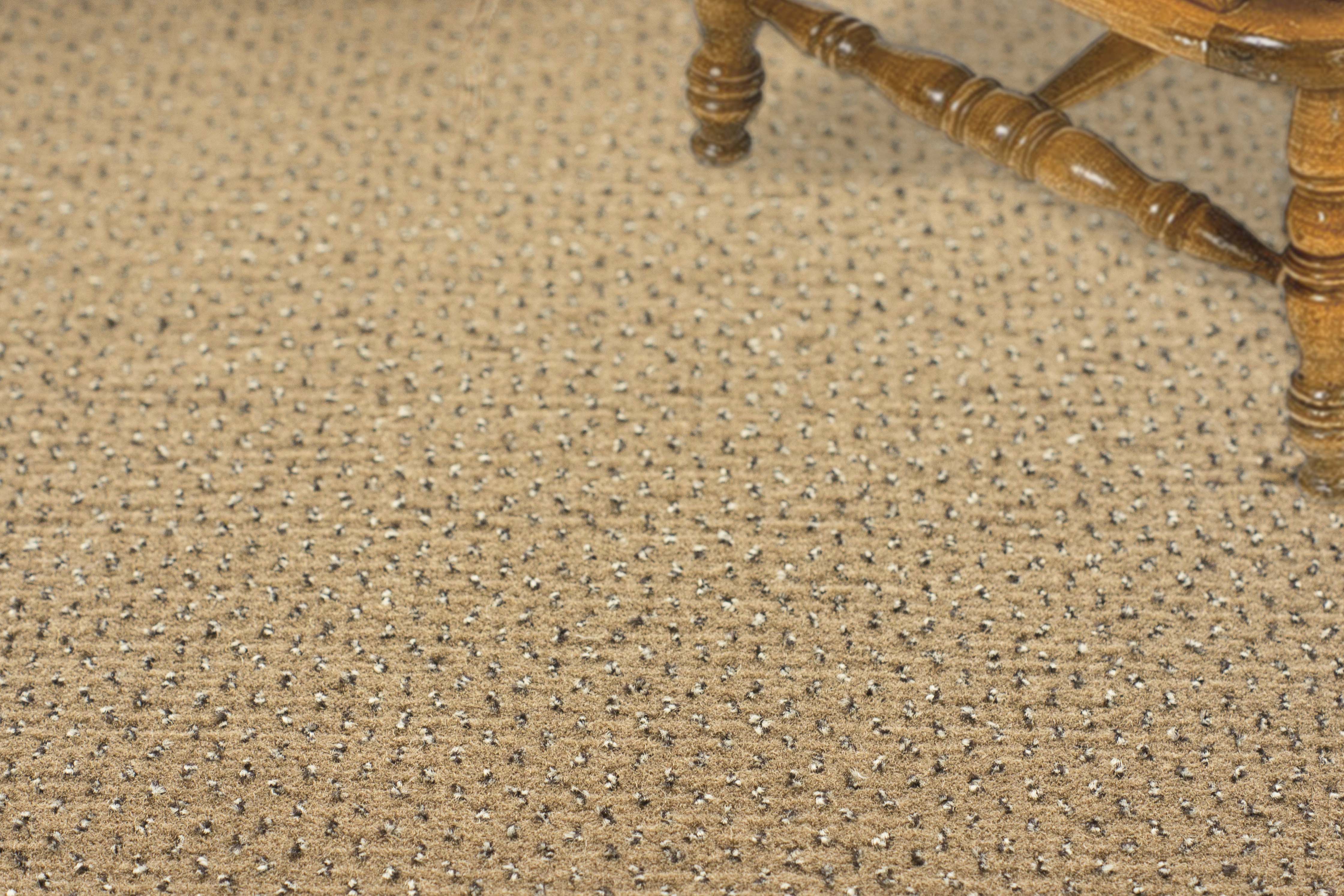 Ковролин "Зартекс" Eternity 142 бежевый (4м) — купить в Санкт-Петербурге