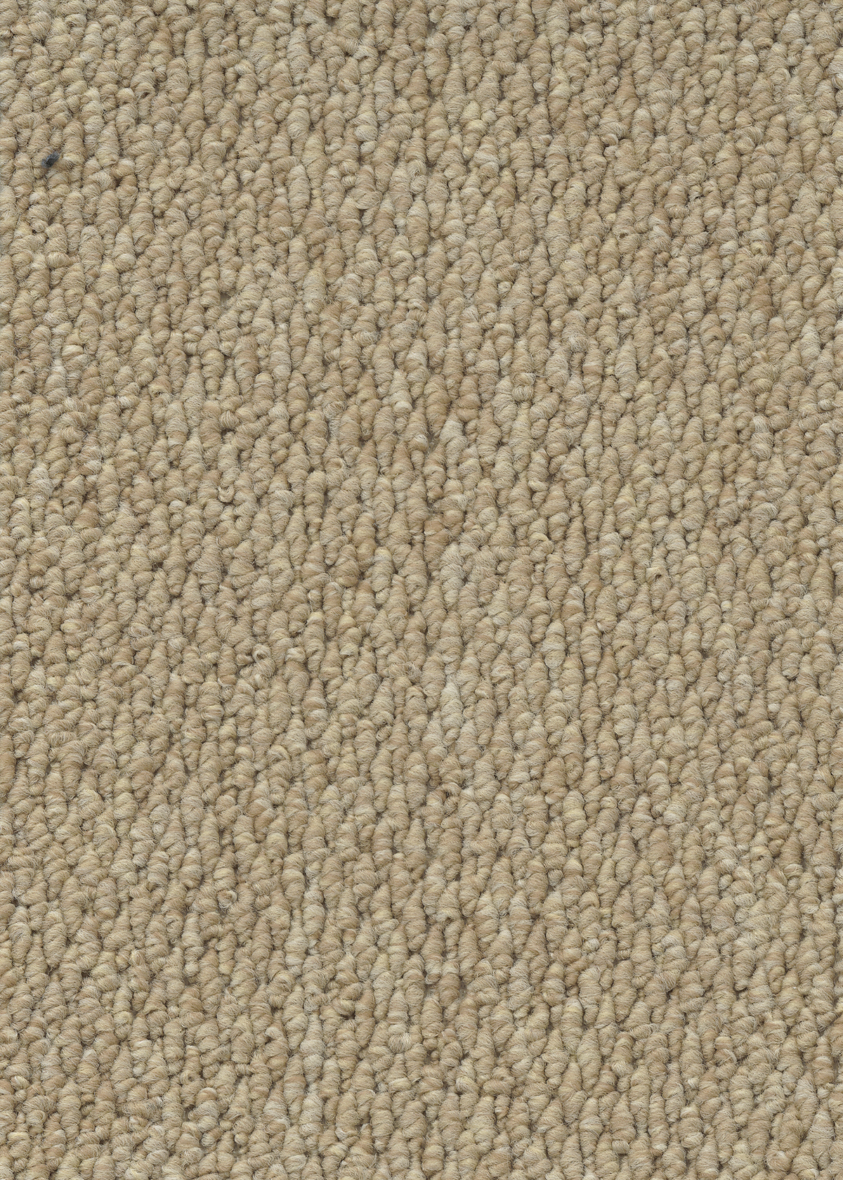 Ковровое покрытие "Bonkeel" Skye 50 (ширина 4м) — купить в Санкт-Петербурге